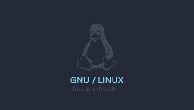 充当 Linux 终端